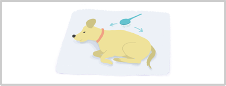 大切なペットの もしもの時は をご紹介 ペット火葬 霊園 納骨堂 のステラ ミラ